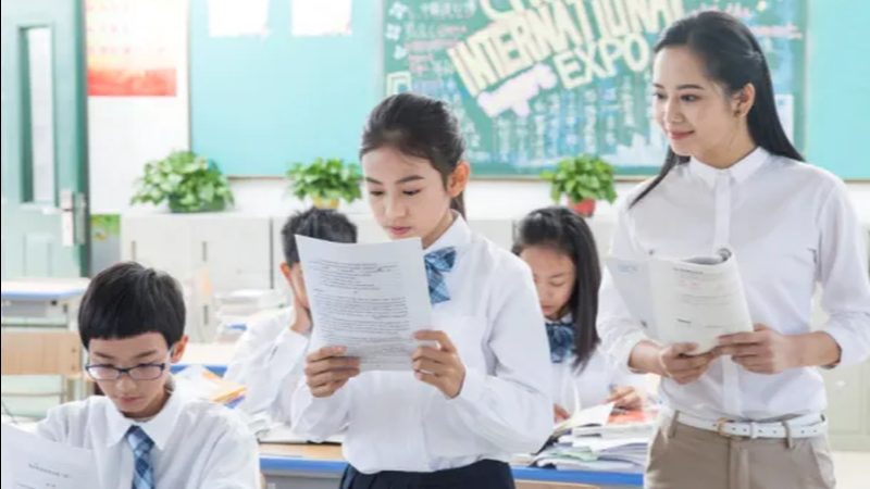 成人教育培训加盟，政策对比中的关键考量
